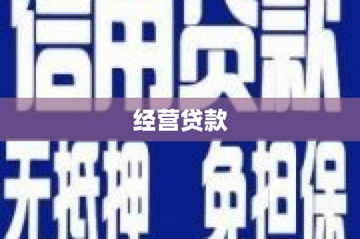 玛家经营贷款