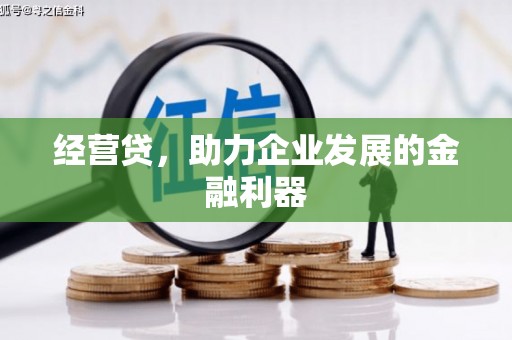 龙湾经营贷，助力企业发展的金融利器