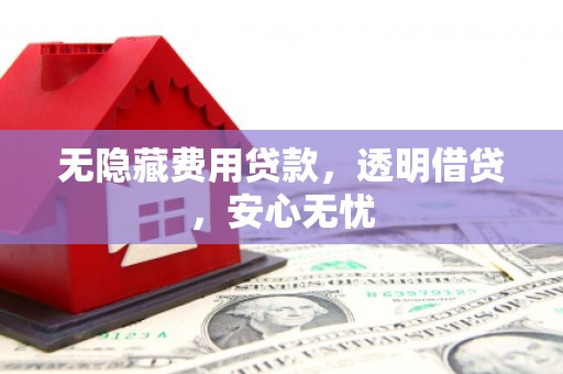 巩留无隐藏费用贷款，透明借贷，安心无忧