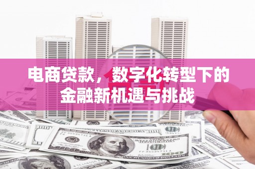 景泰电商贷款，数字化转型下的金融新机遇与挑战