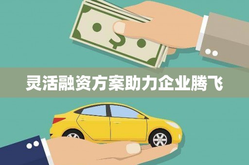 修文灵活融资方案助力企业腾飞