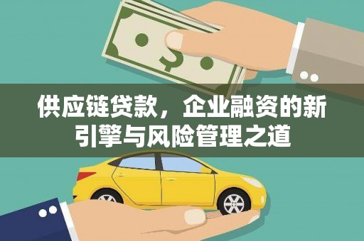保税港区供应链贷款，企业融资的新引擎与风险管理之道