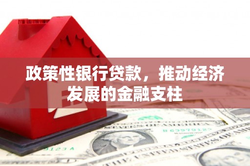 石排政策性银行贷款，推动经济发展的金融支柱