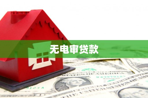法库无电审贷款