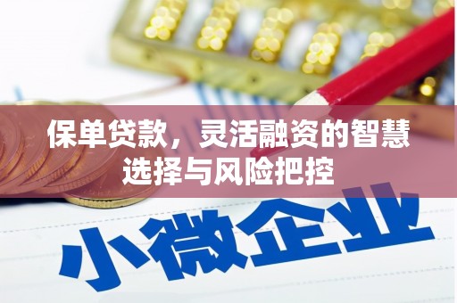山上保单贷款，灵活融资的智慧选择与风险把控