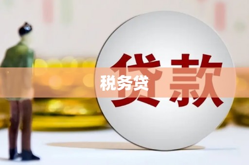 惠民税务贷