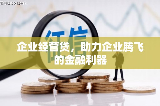 桐城企业经营贷，助力企业腾飞的金融利器