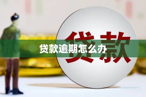 龙游贷款逾期怎么办