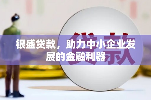 光明新区银盛贷款，助力中小企业发展的金融利器