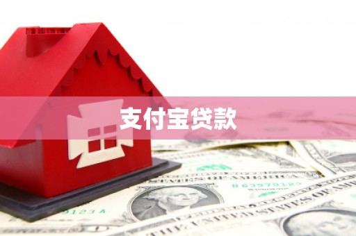 江源支付宝贷款