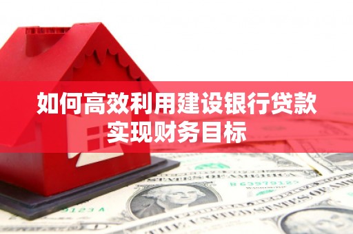 苑里如何高效利用建设银行贷款实现财务目标
