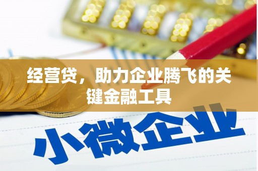 凯里经营贷，助力企业腾飞的关键金融工具