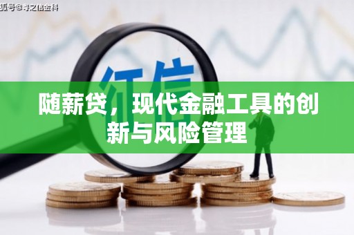 扶绥随薪贷，现代金融工具的创新与风险管理