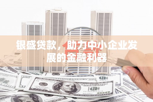 黄平银盛贷款，助力中小企业发展的金融利器