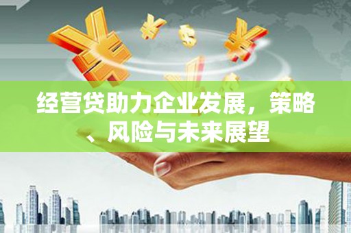 巴塘经营贷助力企业发展，策略、风险与未来展望