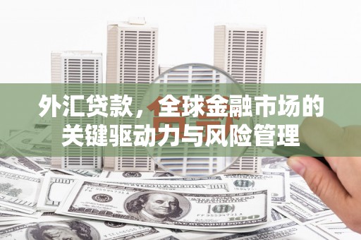 平泉外汇贷款，全球金融市场的关键驱动力与风险管理