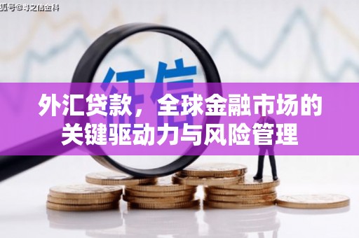 天水外汇贷款，全球金融市场的关键驱动力与风险管理
