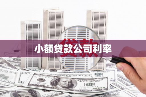 南乐小额贷款公司利率