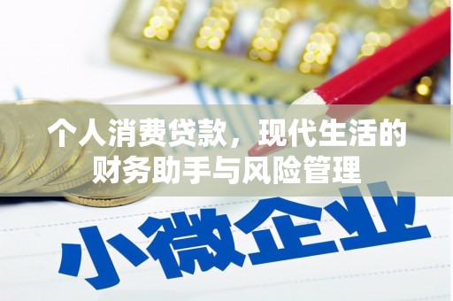 南宫个人消费贷款，现代生活的财务助手与风险管理
