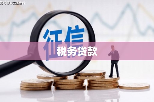 永寿税务贷款
