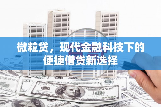 铁山微粒贷，现代金融科技下的便捷借贷新选择