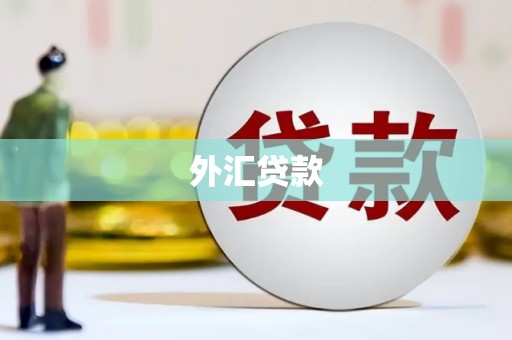 镜湖外汇贷款