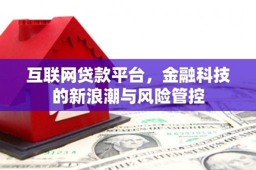 和顺互联网贷款平台，金融科技的新浪潮与风险管控