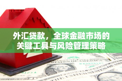 和林格尔外汇贷款，全球金融市场的关键工具与风险管理策略