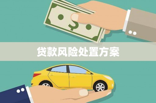 神农架贷款风险处置方案