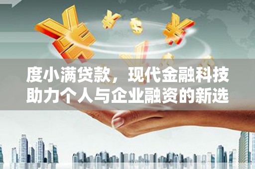 莱西度小满贷款，现代金融科技助力个人与企业融资的新选择