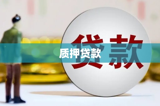 合川质押贷款