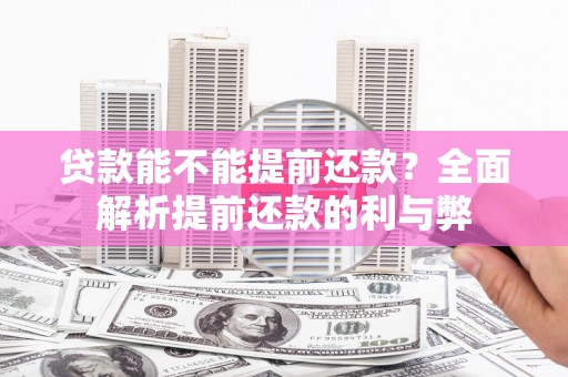 安定贷款能不能提前还款？全面解析提前还款的利与弊