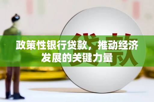 海兴政策性银行贷款，推动经济发展的关键力量