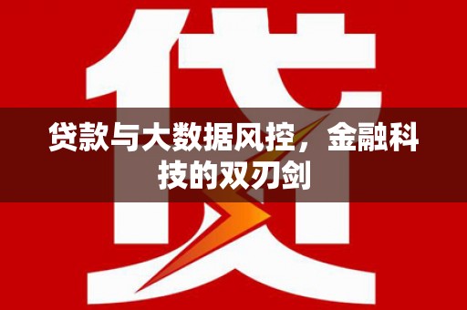 曲麻莱贷款与大数据风控，金融科技的双刃剑