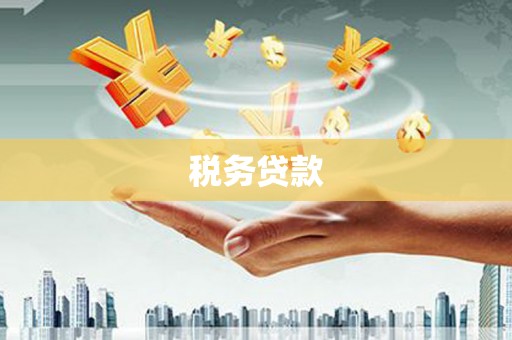 闻喜税务贷款