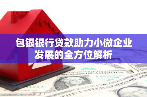 奎文包银银行贷款助力小微企业发展的全方位解析
