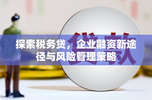 胶州探索税务贷，企业融资新途径与风险管理策略