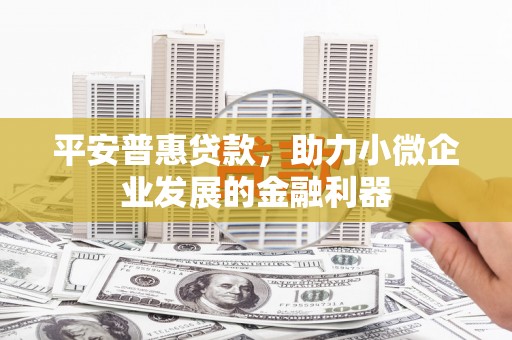 东昌平安普惠贷款，助力小微企业发展的金融利器