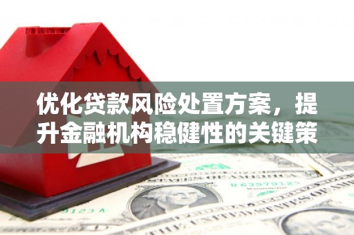 云南优化贷款风险处置方案，提升金融机构稳健性的关键策略