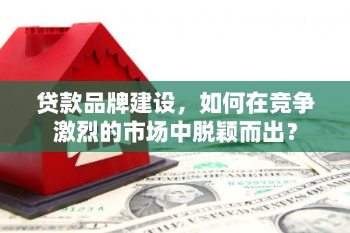 红星贷款品牌建设，如何在竞争激烈的市场中脱颖而出？