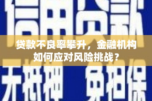 江干贷款不良率攀升，金融机构如何应对风险挑战？