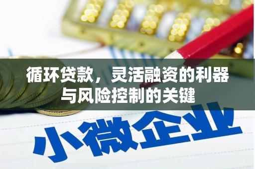 田林循环贷款，灵活融资的利器与风险控制的关键