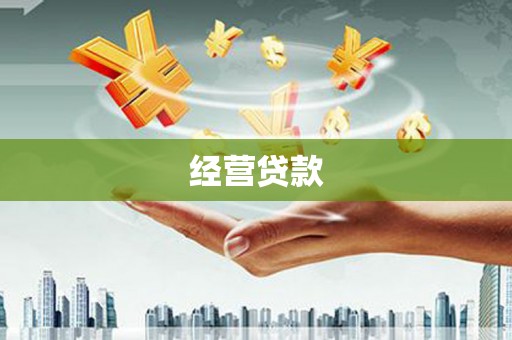 褒忠经营贷款