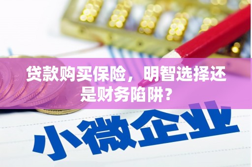罗田贷款购买保险，明智选择还是财务陷阱？
