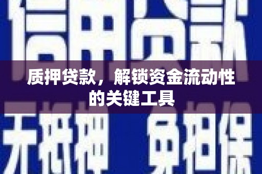 罗城质押贷款，解锁资金流动性的关键工具