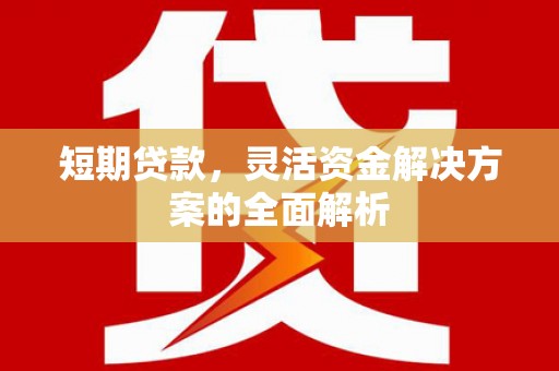 岳西短期贷款，灵活资金解决方案的全面解析