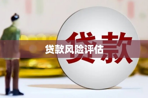 河西贷款风险评估