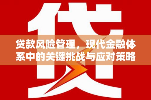长垣贷款风险管理，现代金融体系中的关键挑战与应对策略
