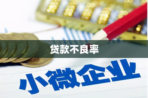 莎车贷款不良率