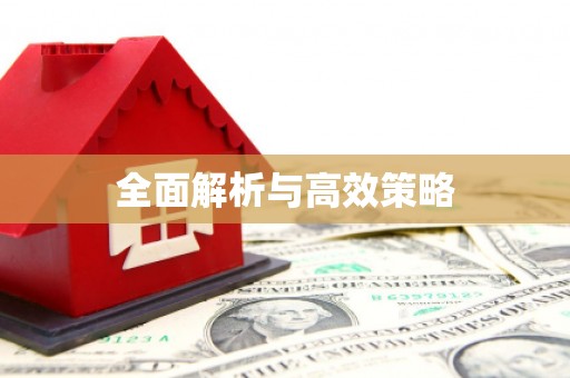 博乐全面解析与高效策略